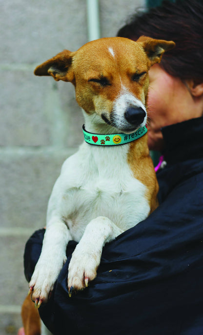 Rescue Dog Collar