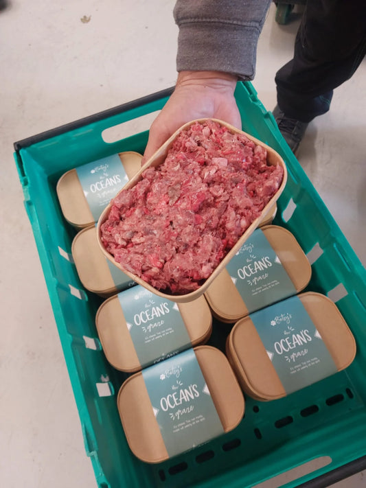 Betsy’s An Ocean Graze