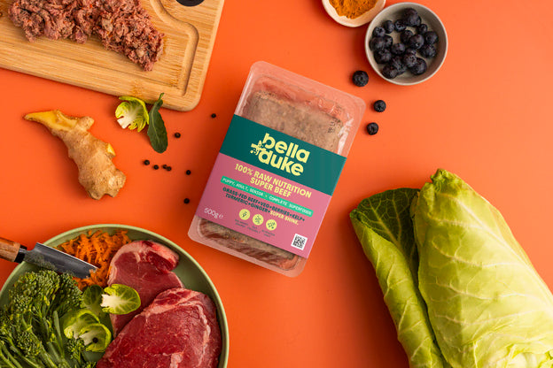 Bella & Duke Superfood Enriched Complete Beef 500g
