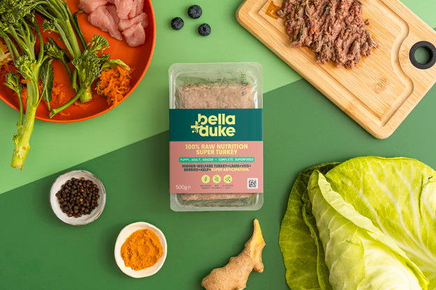 Bella & Duke Superfood Enriched complete Turkey 500g
