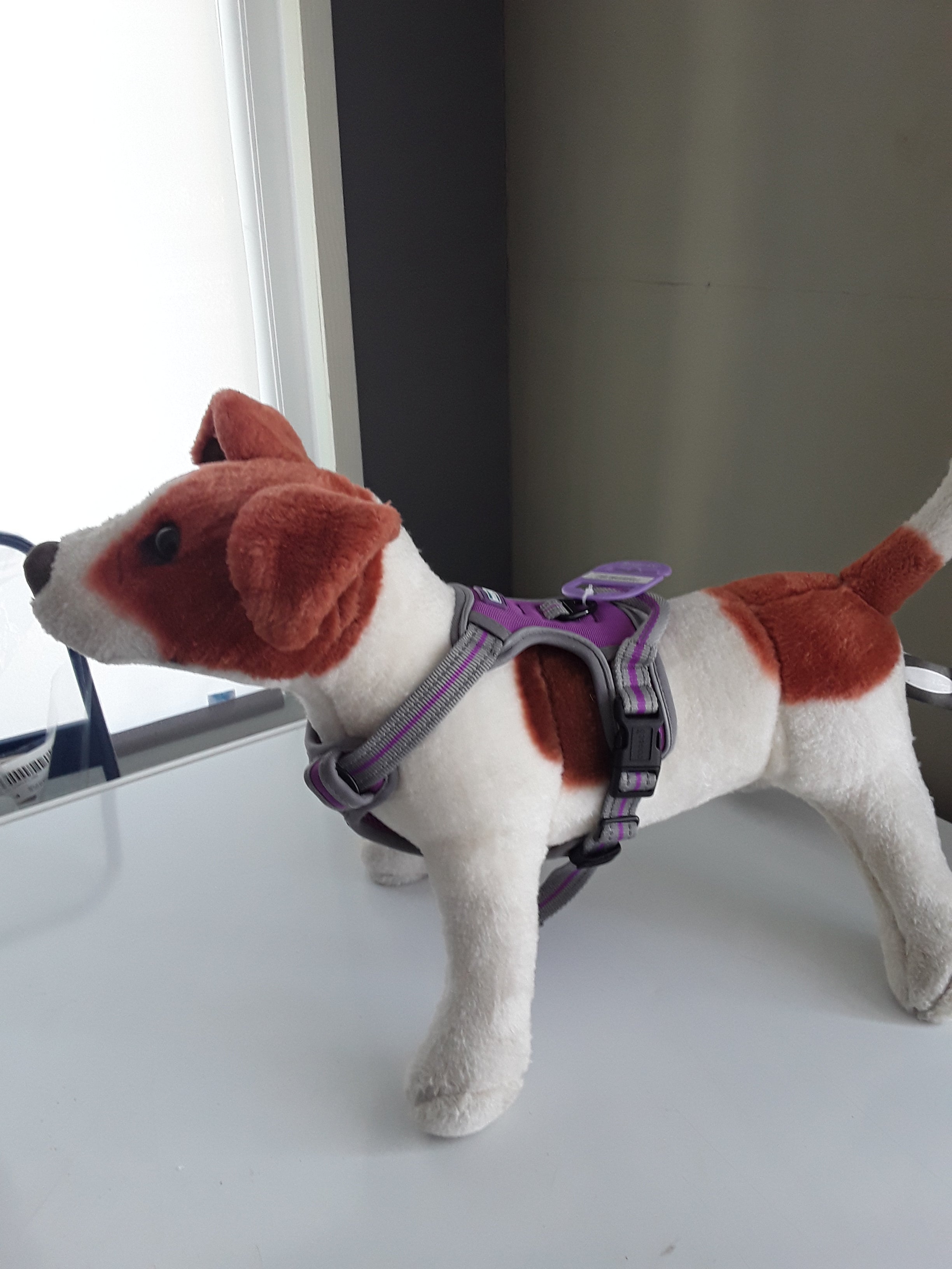 Dog Co Sports Harness Doodledales