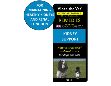 Vince The Vet Kidney Support remedy
