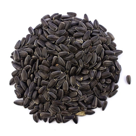 Black Sunflower seeds 2.25kg bucket