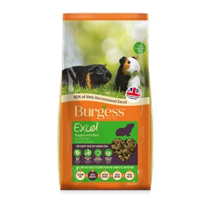 Burgess Excel Guinea Pig with mint 3kg