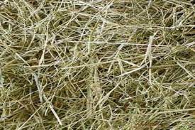 Loose packed hay approx 1kg