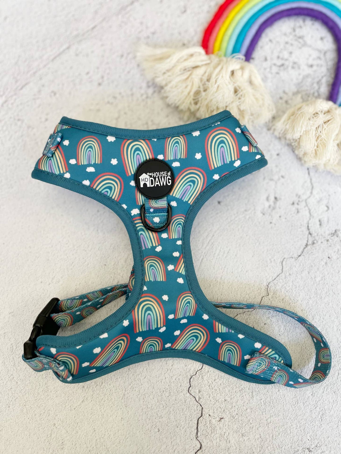 House of Dawg. Daydreamer harness