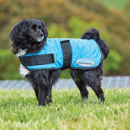 Weatherbeeta Dog cooling coat