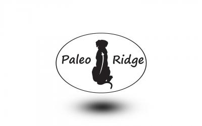 Paleo Ridge raw dog food. Beef tripe with duck complete